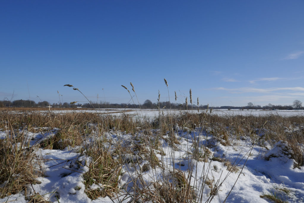 Winterlandschaft